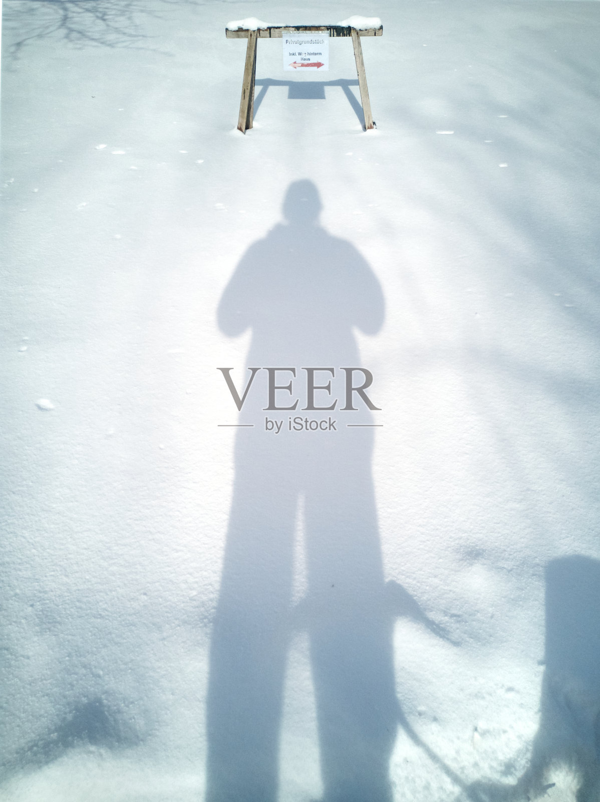 温特曼照片摄影图片