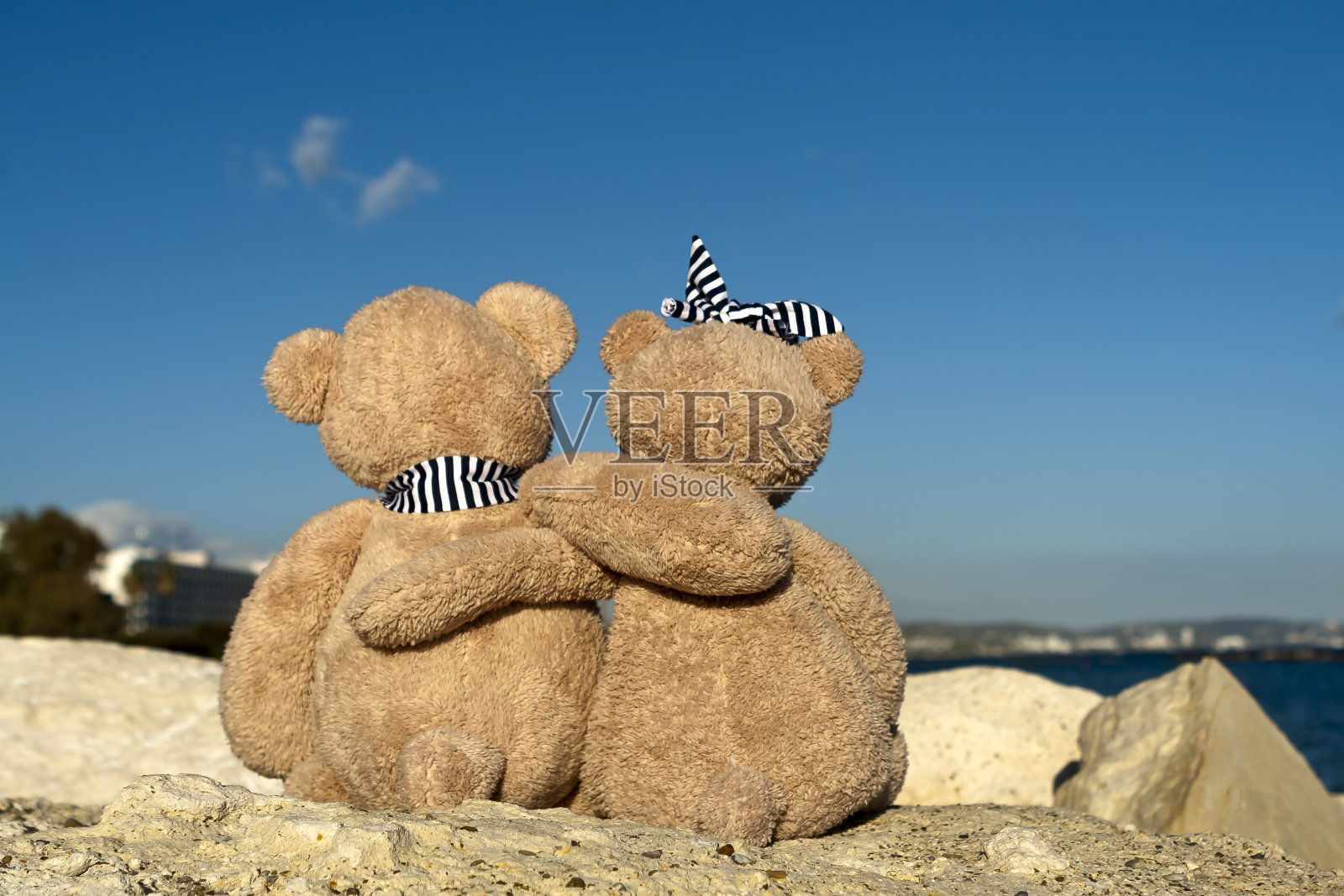 蓝天前两个泰迪熊拥抱着照片摄影图片