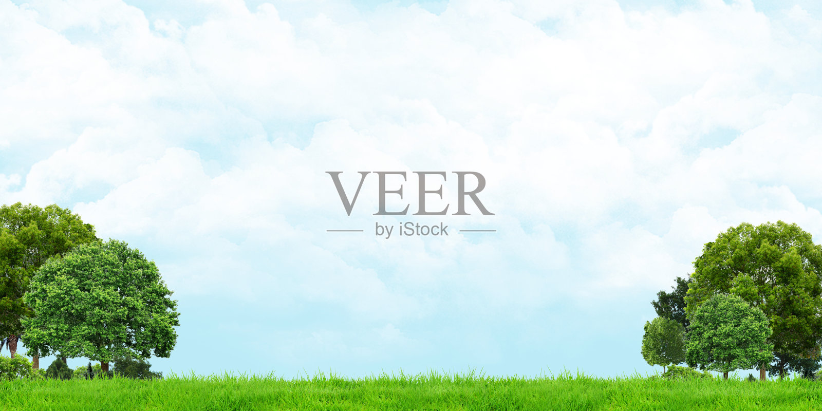 草地和树木的看法多云的天空广角景观3d插图照片摄影图片