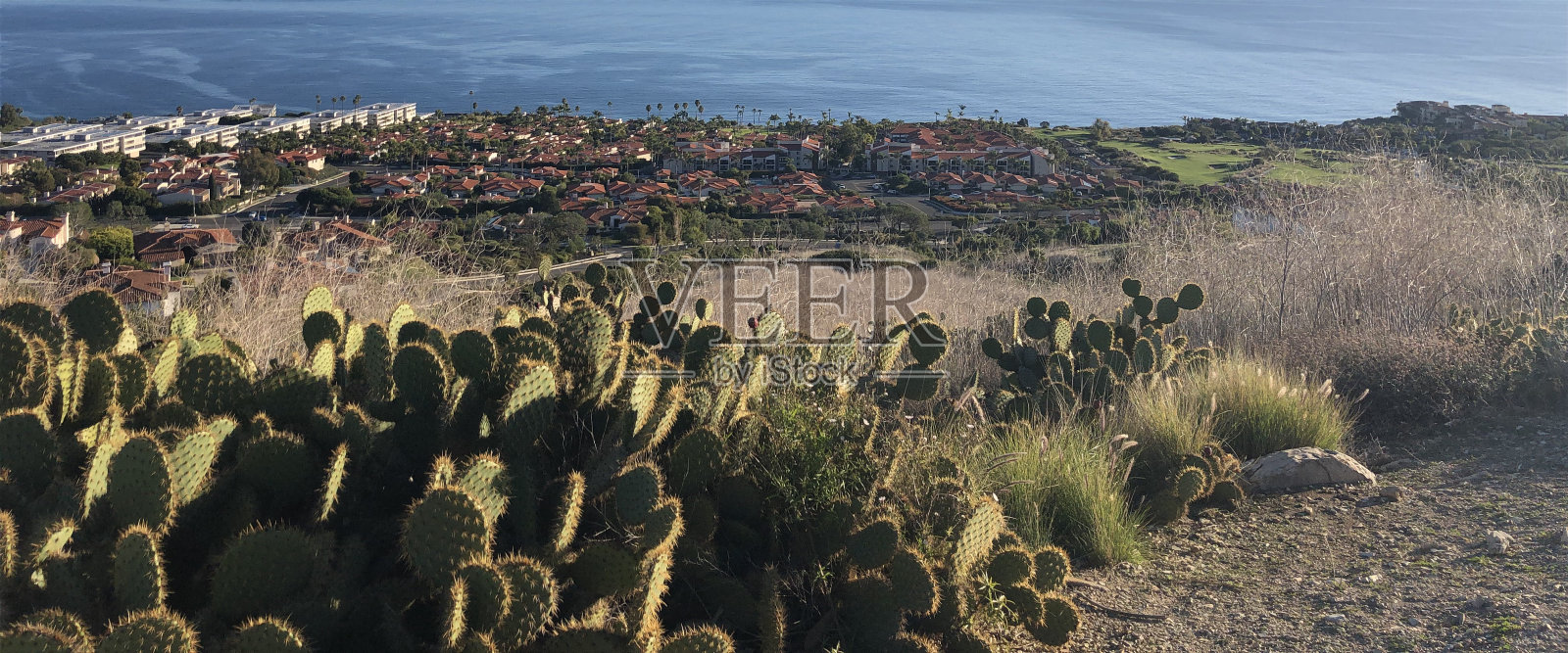 加州帕洛斯格林牧场照片摄影图片