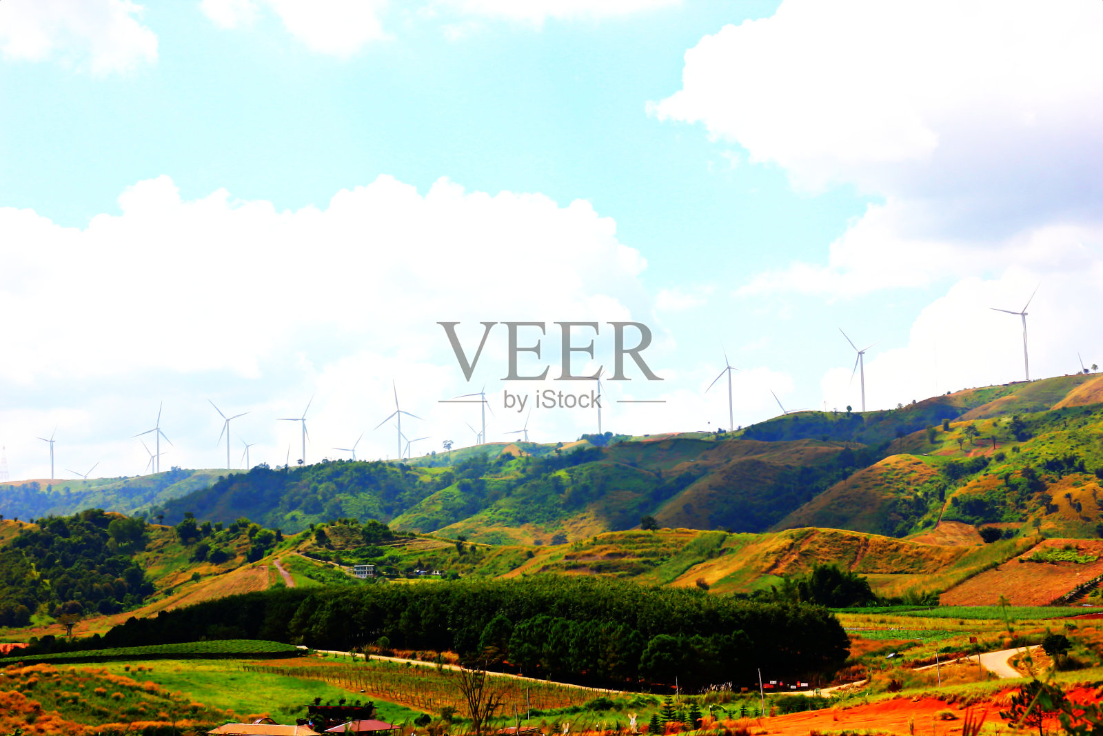 生态力量种植园照片摄影图片