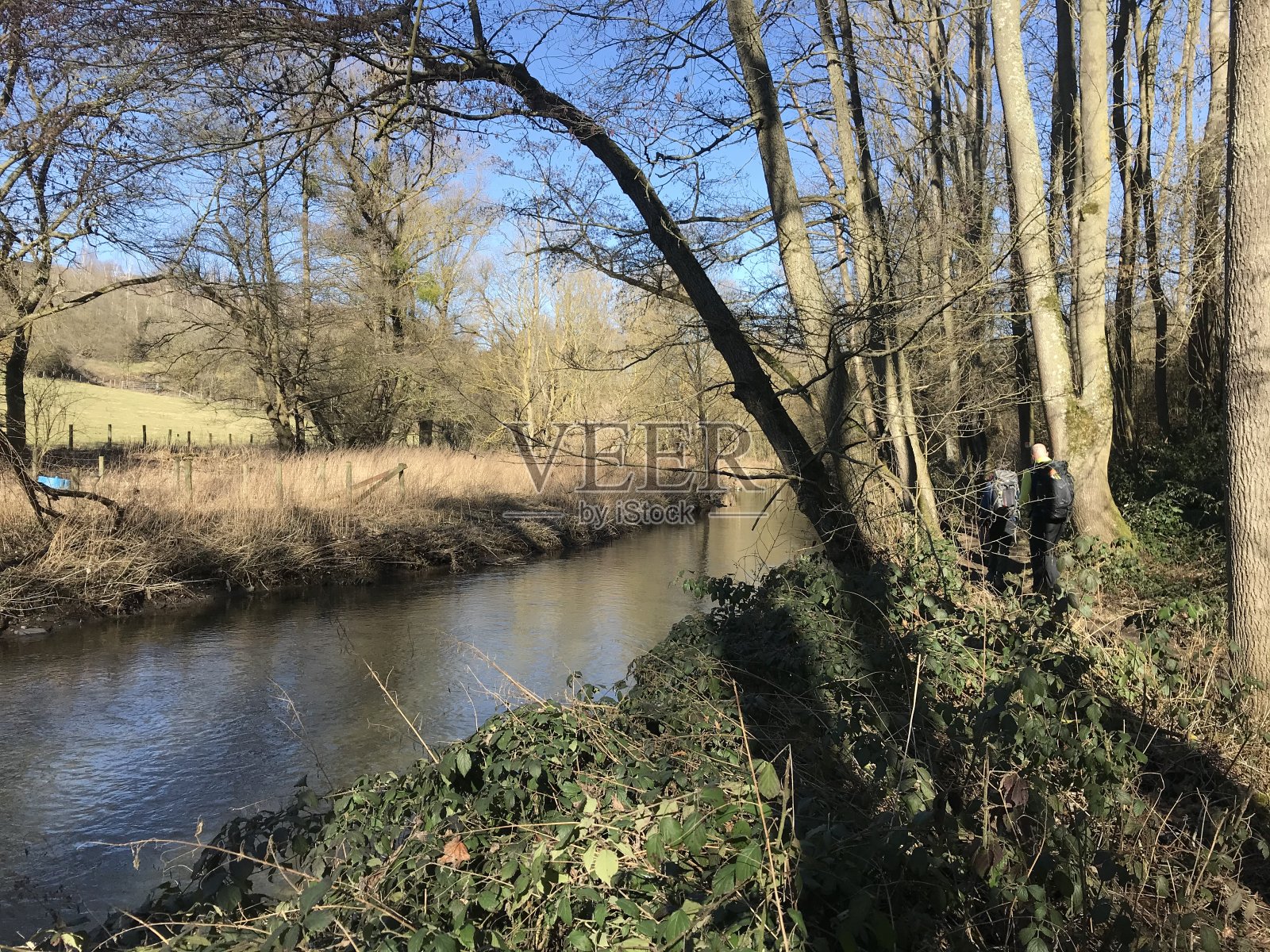 在森林里的内特河岸上照片摄影图片