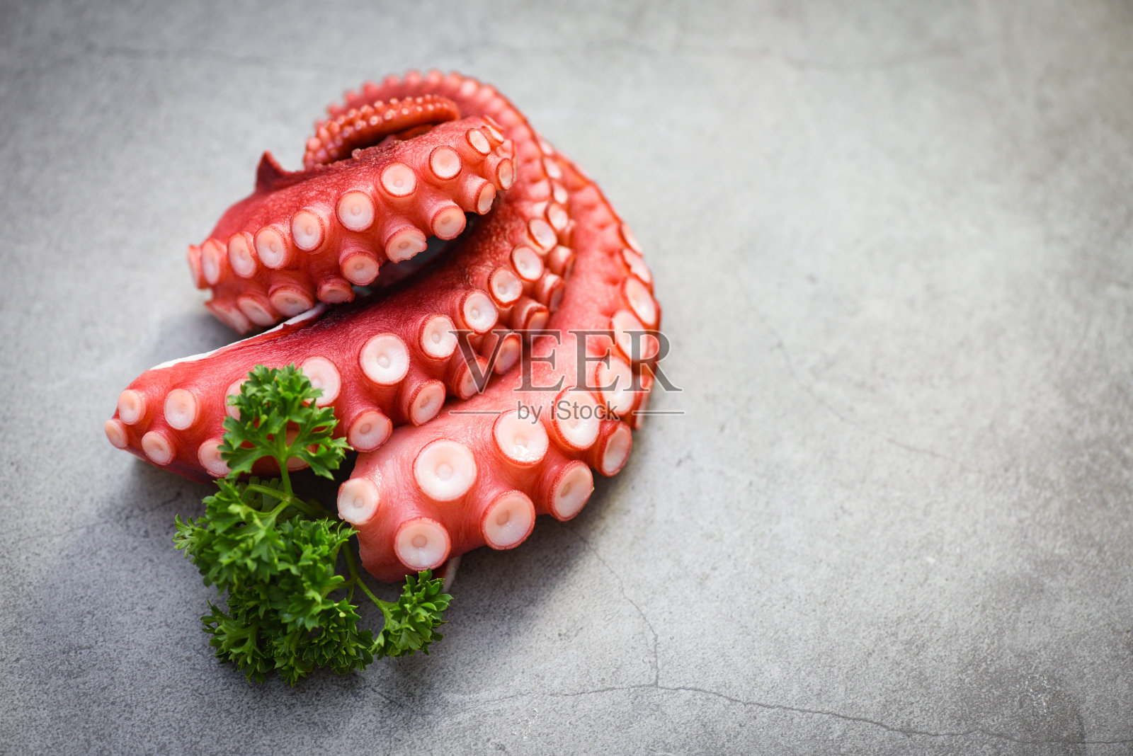 水煮章鱼触须配香草盘,章鱼食煮海鲜沙拉鱿鱼墨鱼照片摄影图片