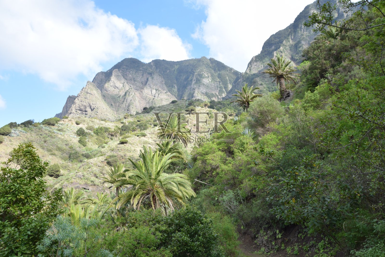 走吧照片摄影图片