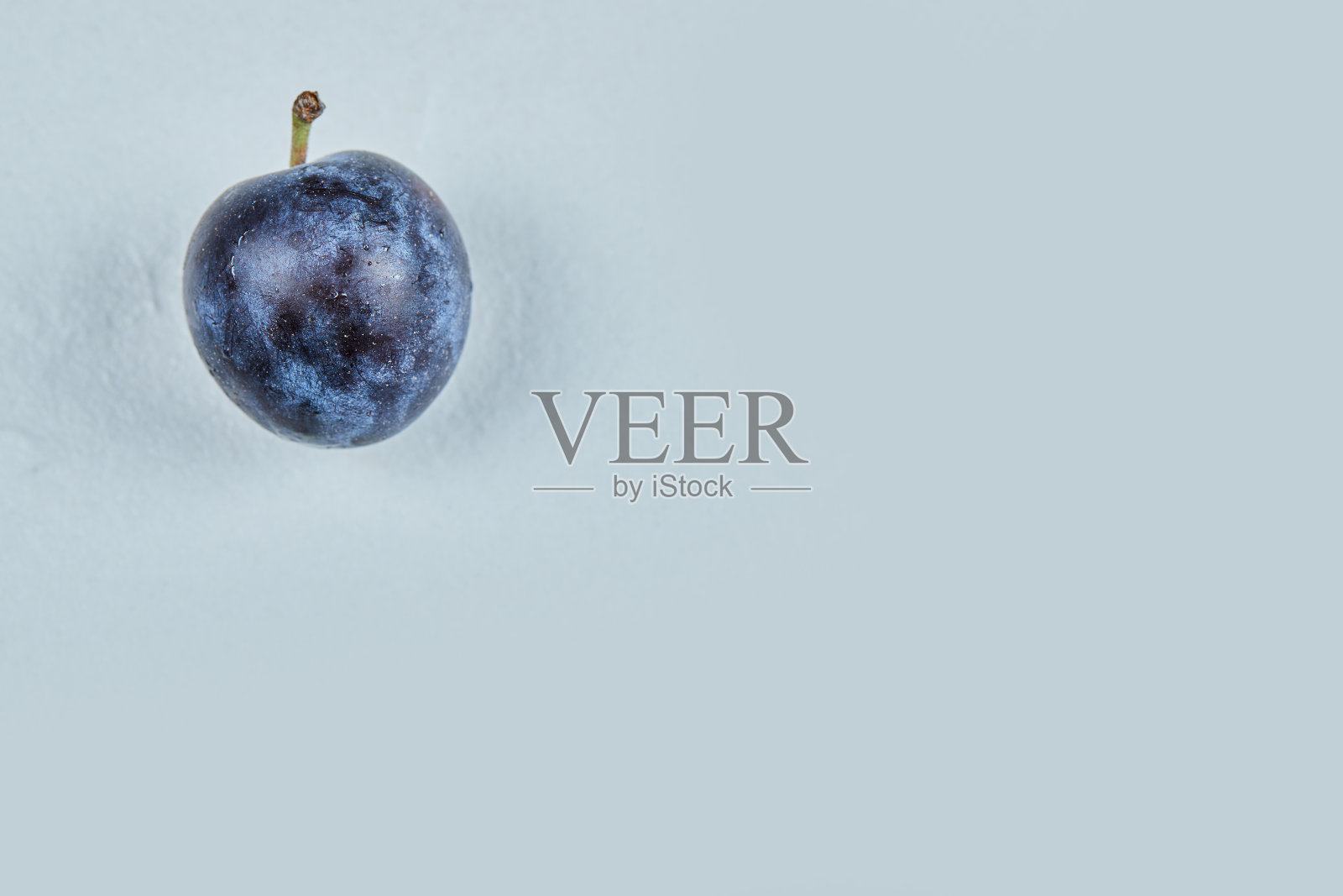 鲜李孤立在蓝色背景照片摄影图片