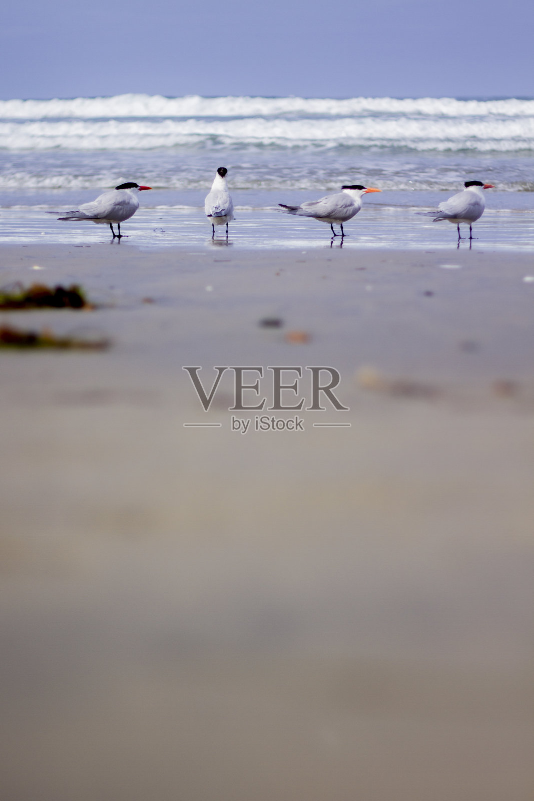 转了照片摄影图片