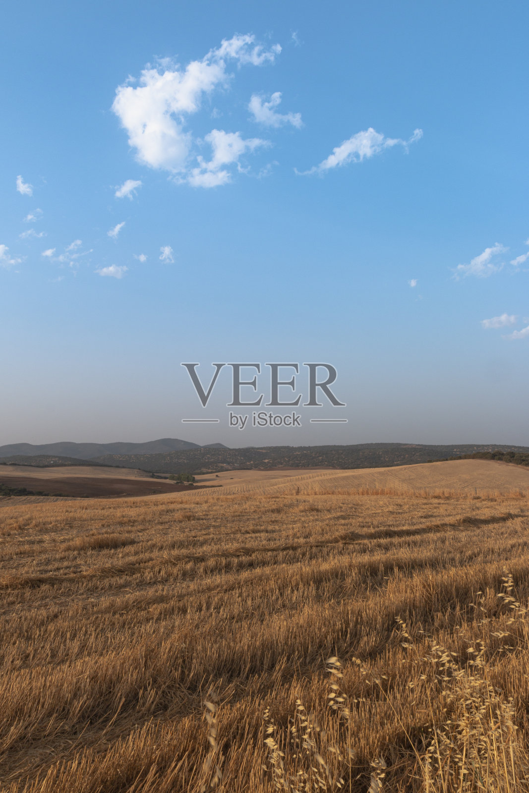 牧羊地和谷物种植照片摄影图片