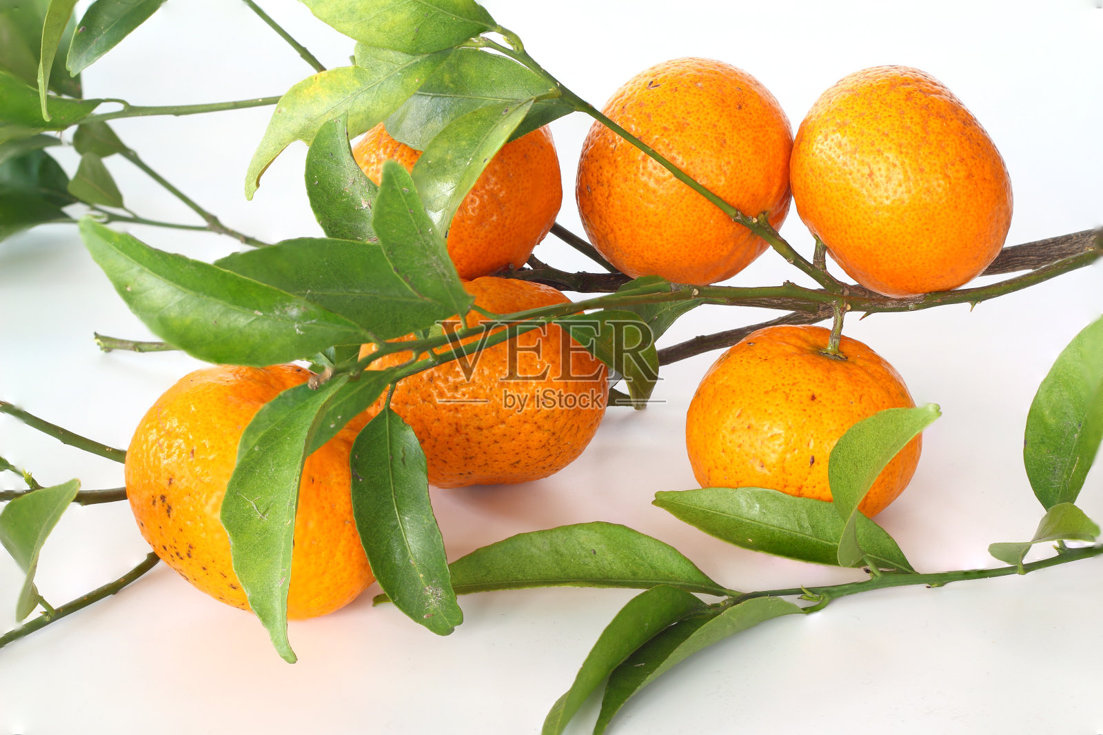 橙色的橘子和绿色的叶子在白色的石头背景照片摄影图片