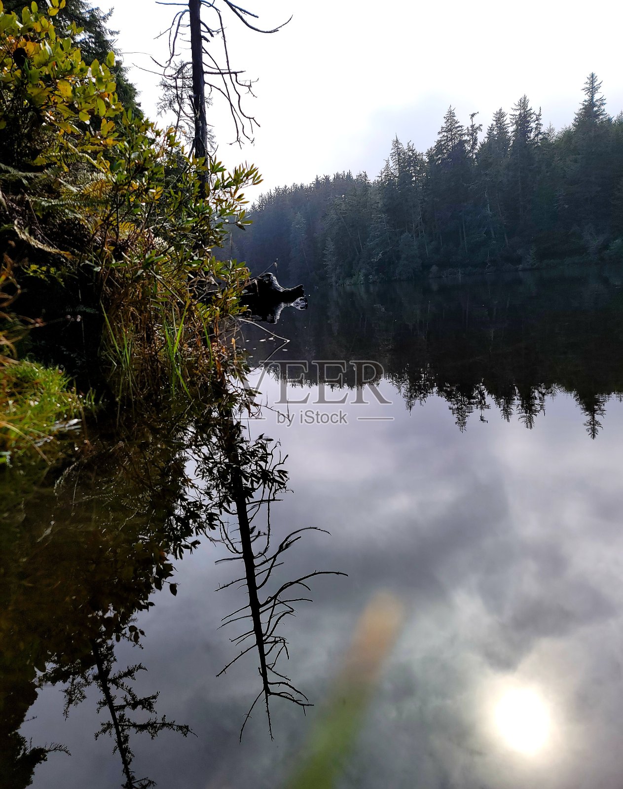 湖穆雷照片摄影图片