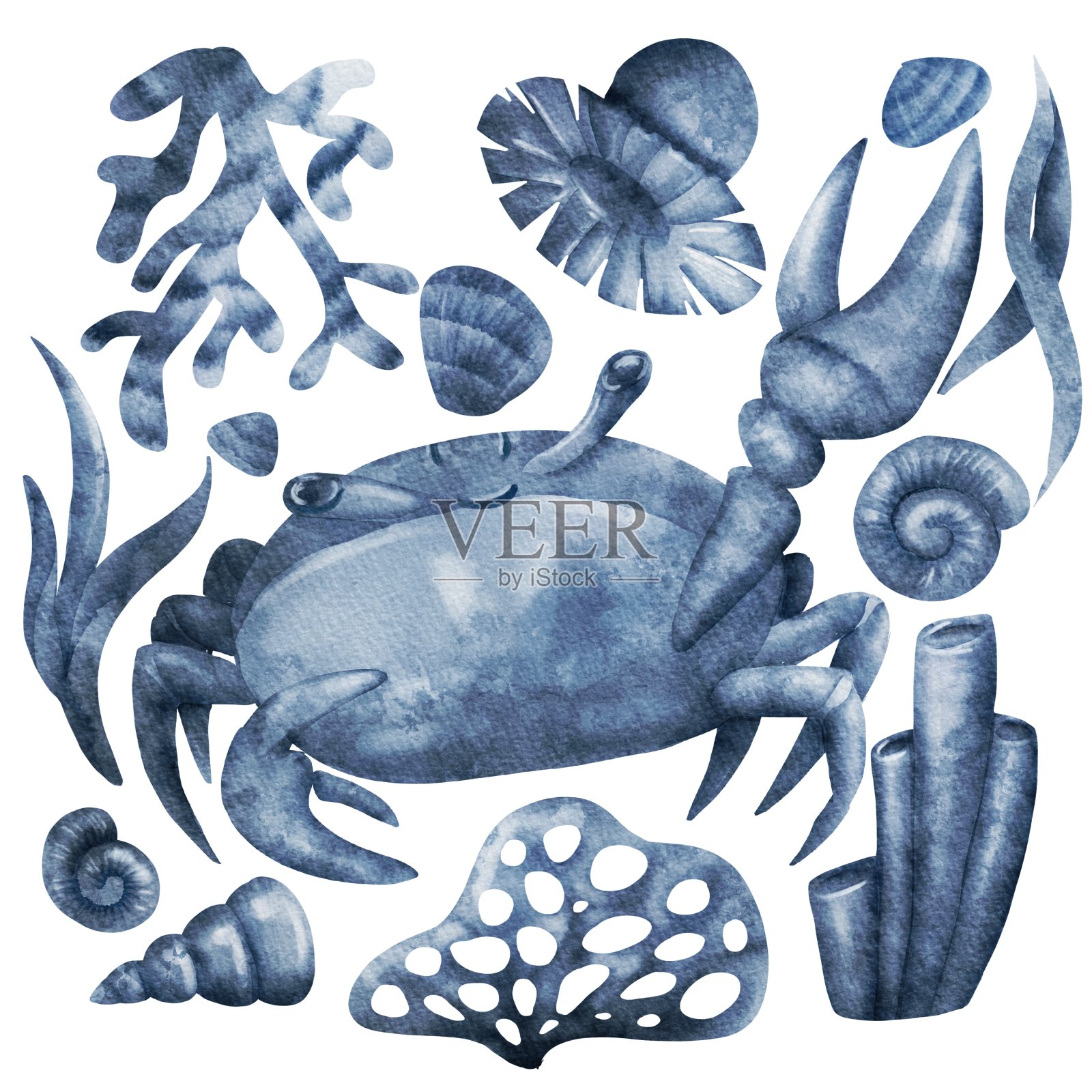 水彩单色蟹与贝壳插画图片素材