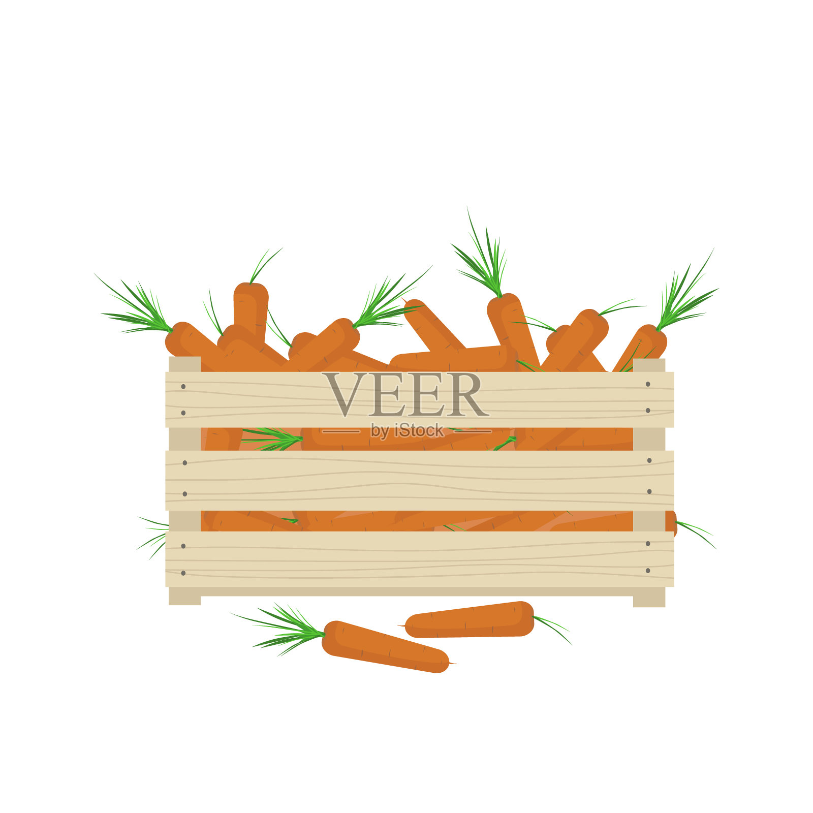装胡萝卜的木箱子。植物,根菜,蔬菜。收割。矢量插图上的白色背景插画图片素材