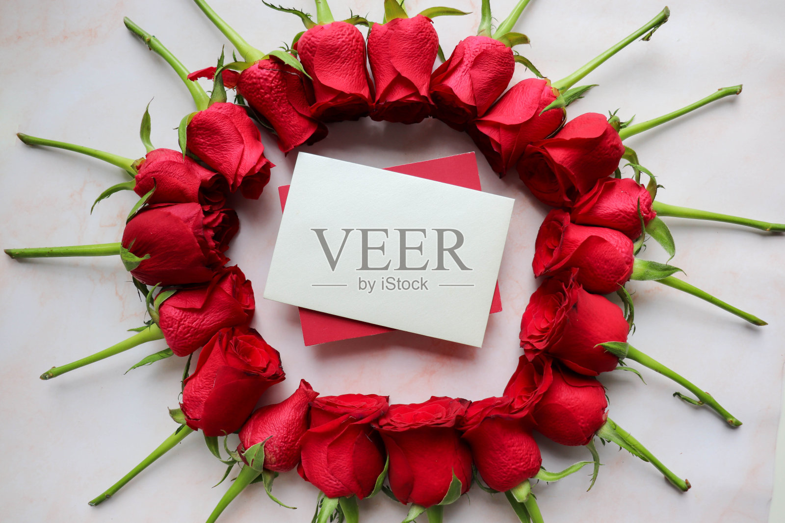 白色背景上的一束红玫瑰照片摄影图片