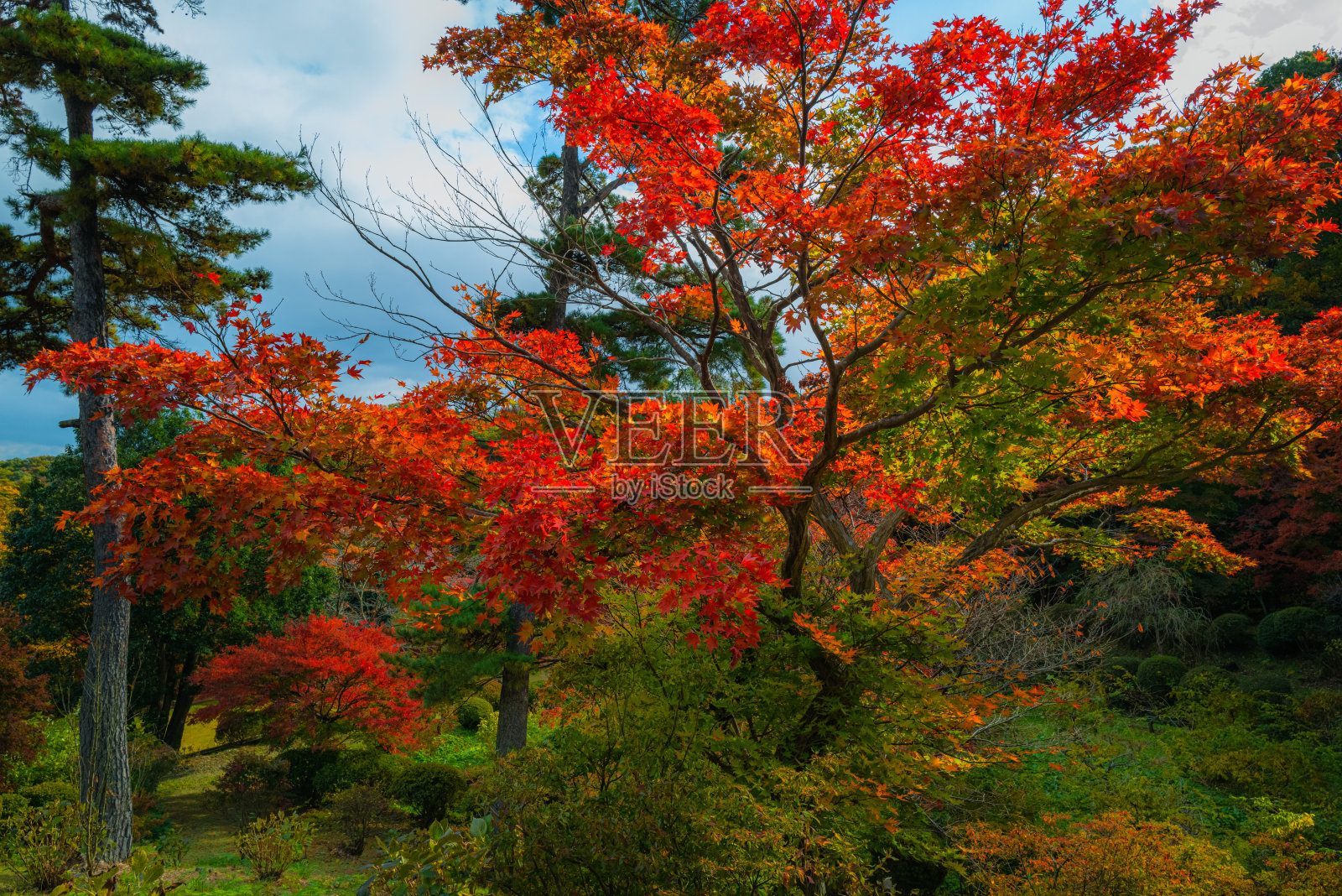 福岛的秋色风景照片摄影图片