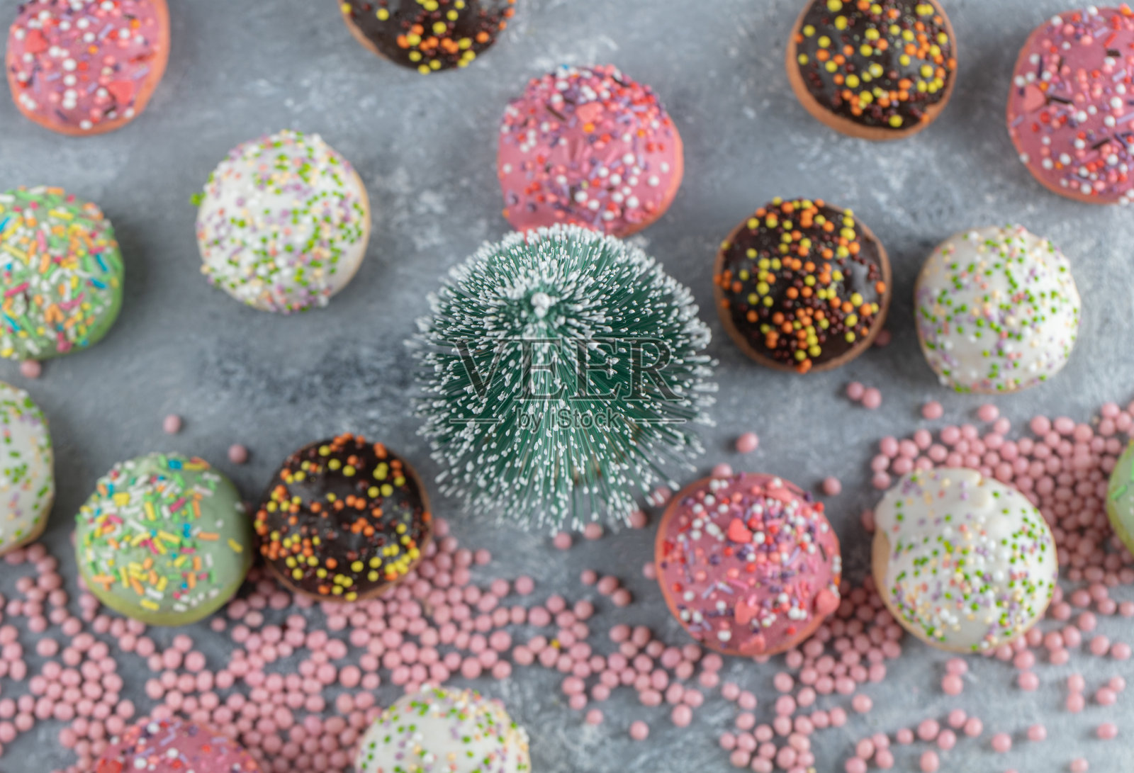 松树周围点缀着饼干屑照片摄影图片