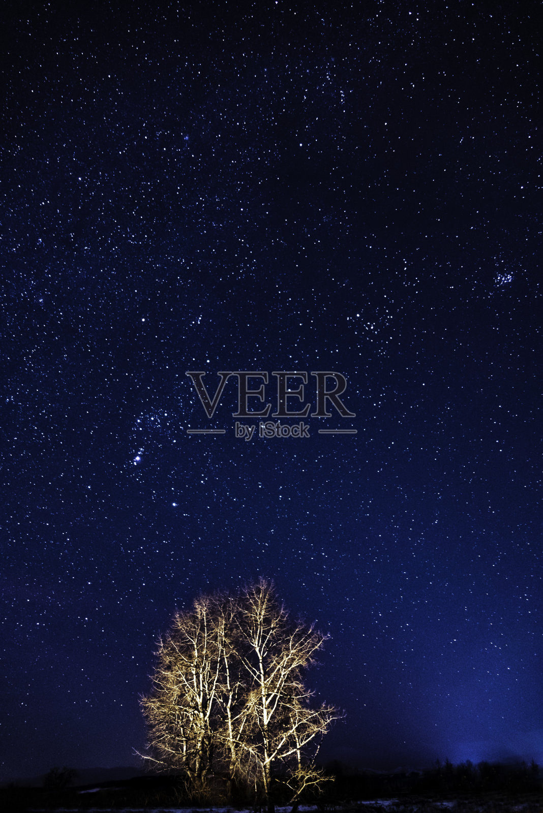 阿斯特罗照片摄影图片