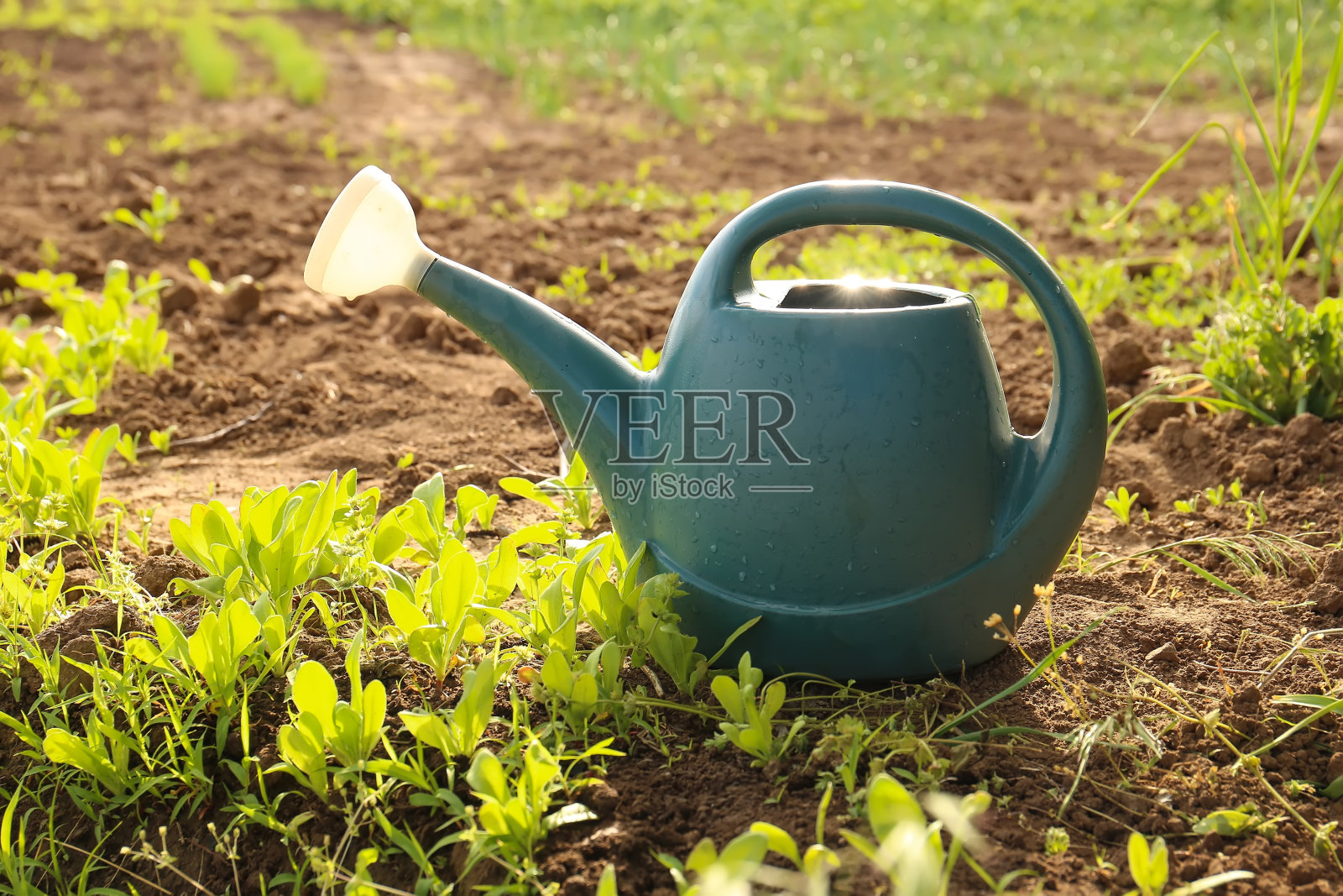 喷壶立在花园里的地上照片摄影图片