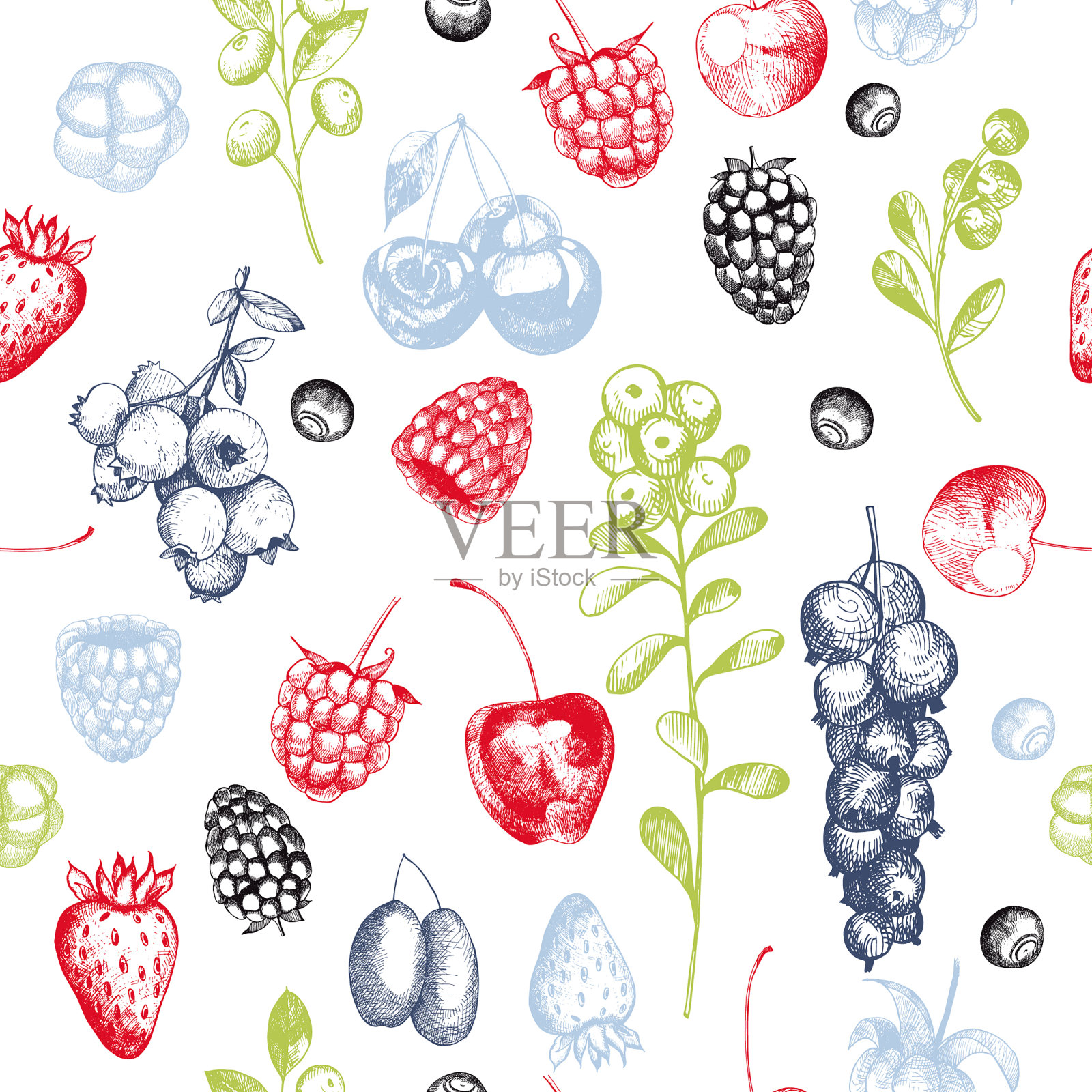 模式与浆果插画图片素材