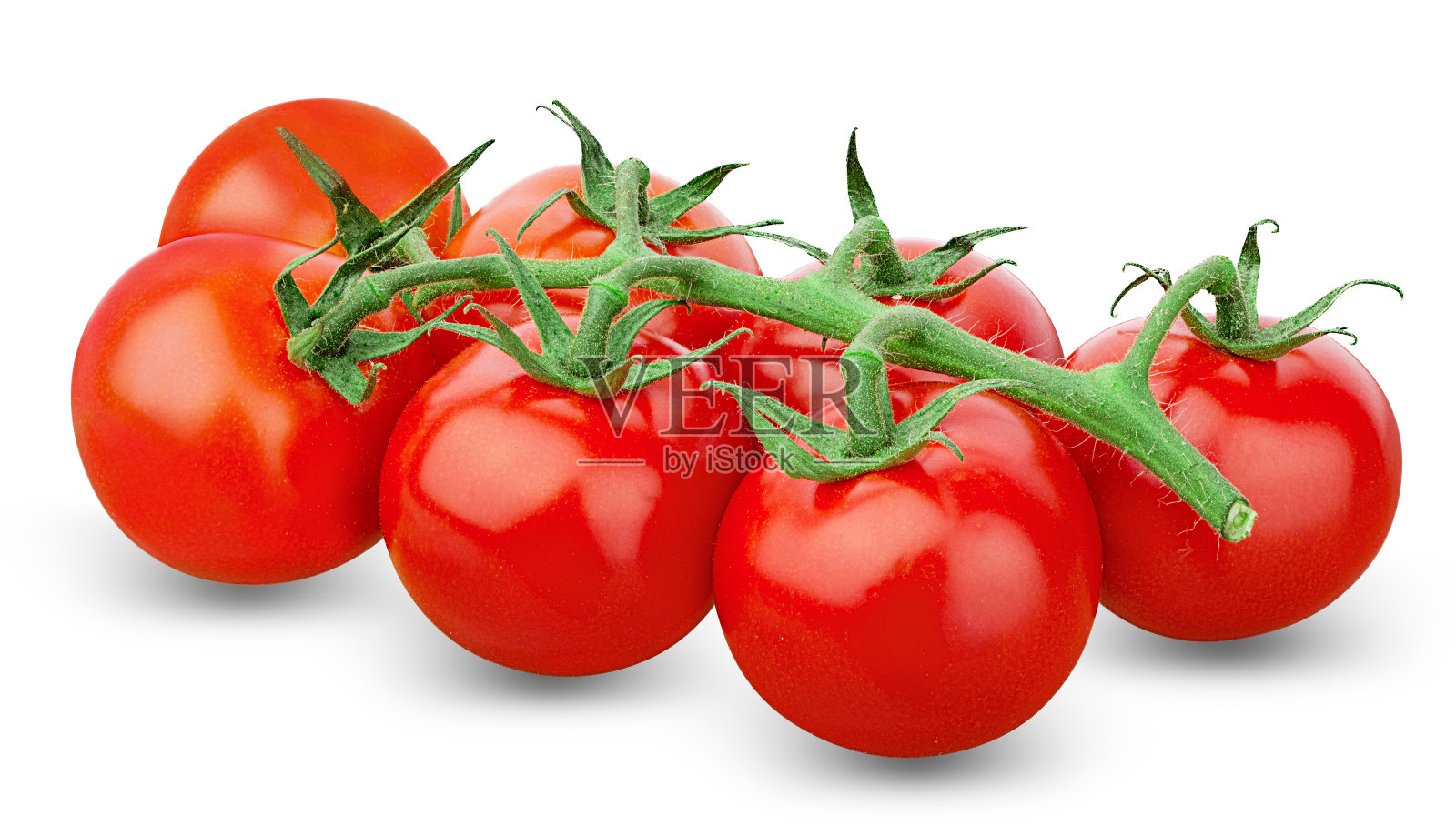 樱桃番茄分枝孤立在白色背景与修剪路径照片摄影图片