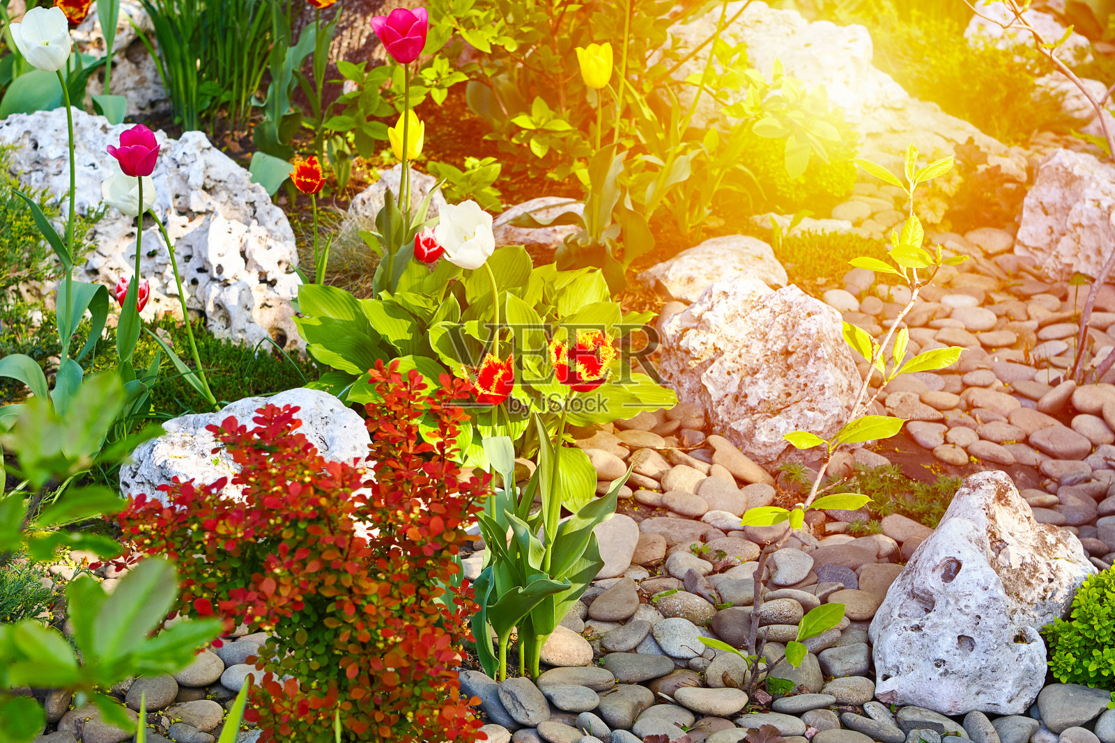 园林景观装饰以美丽的花石为装饰。园林概念设计。照片摄影图片