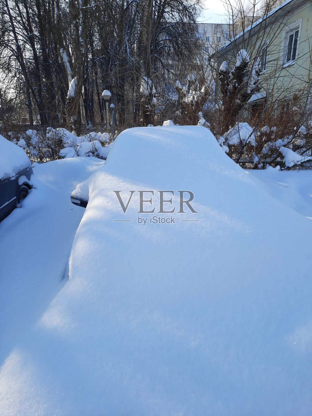 冬天照片摄影图片