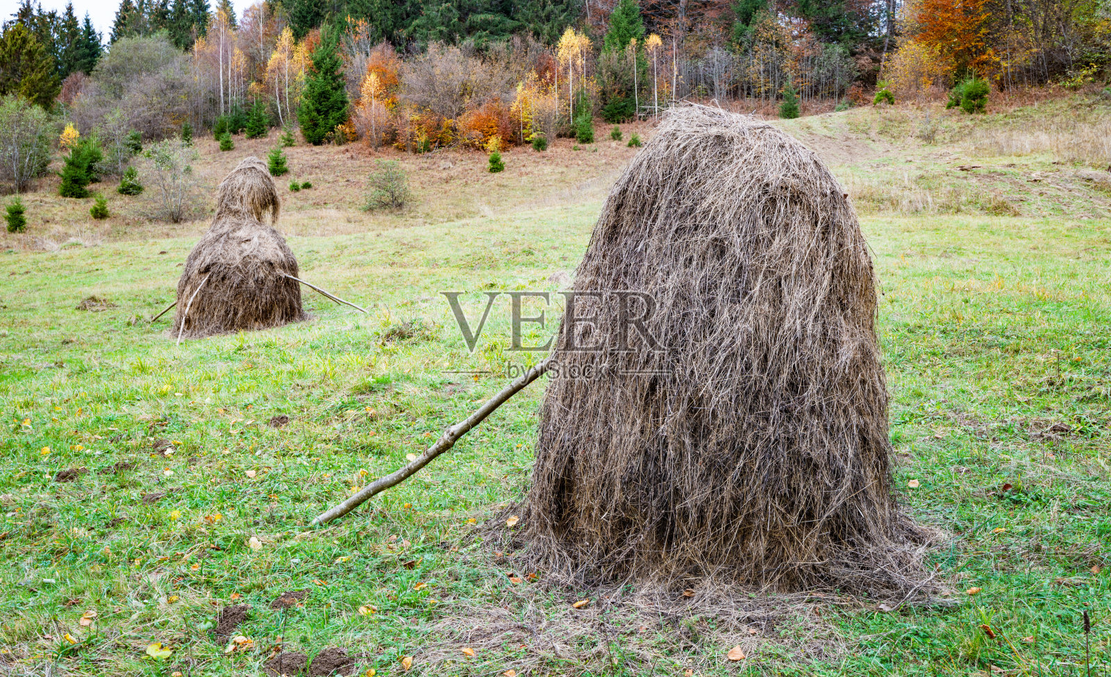 天气多云的绿色草地上有许多干草堆照片摄影图片