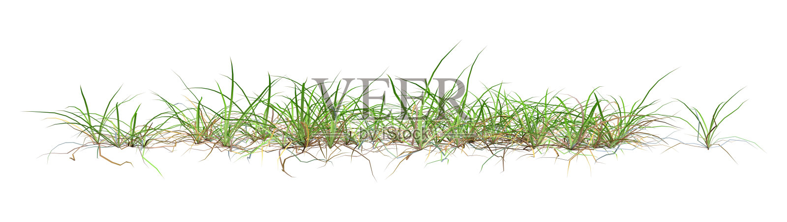 3D插图补丁的草在白色照片摄影图片
