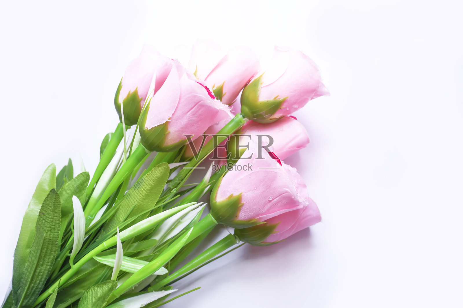 玫瑰花束孤立在白色背景,俯视图照片摄影图片