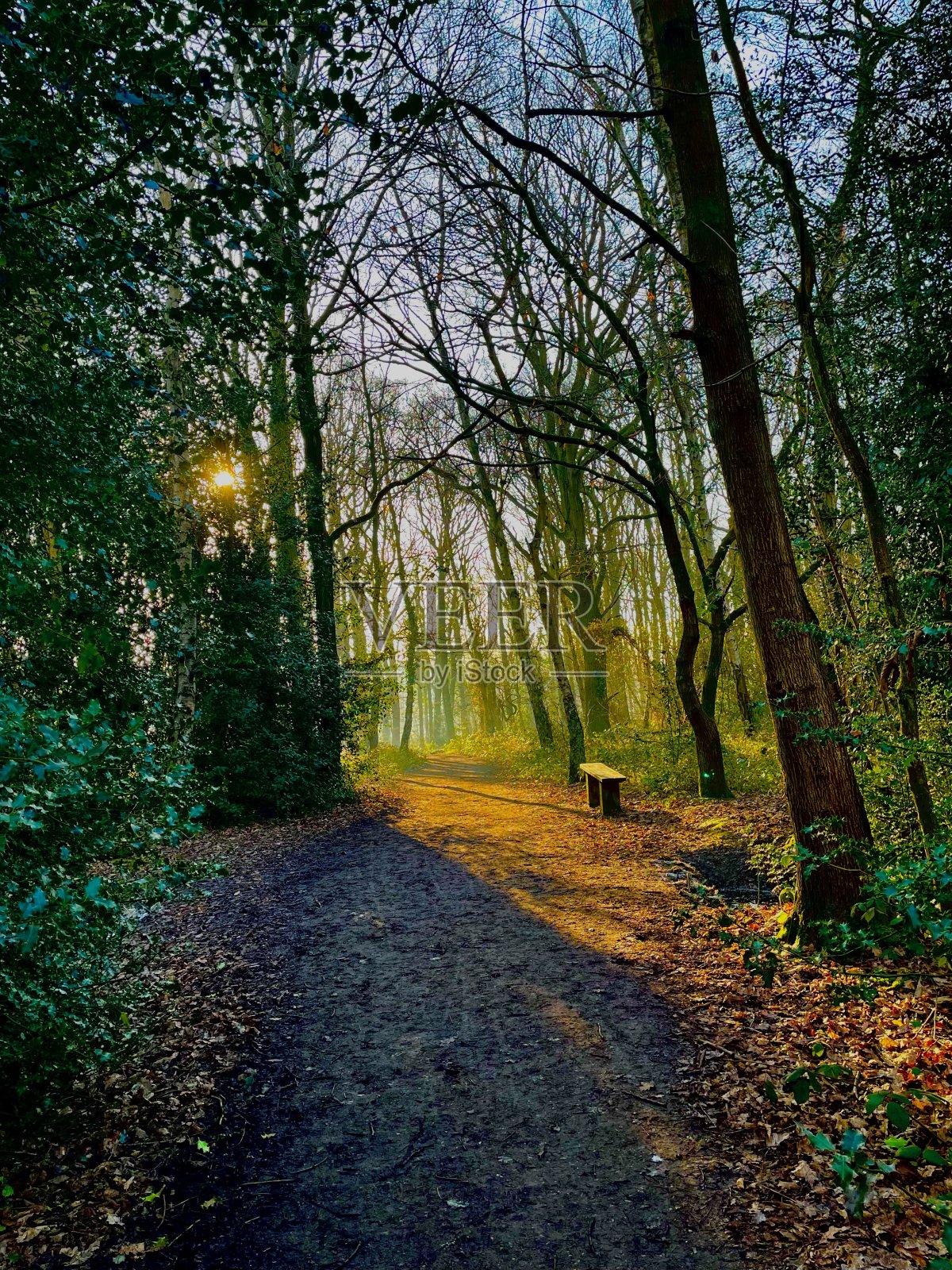 春天就要来了照片摄影图片