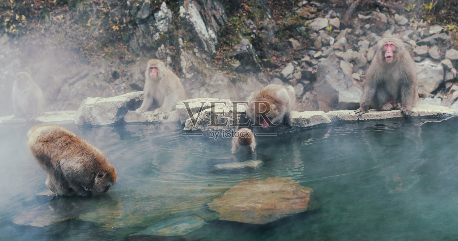 生活的灵丹妙药照片摄影图片