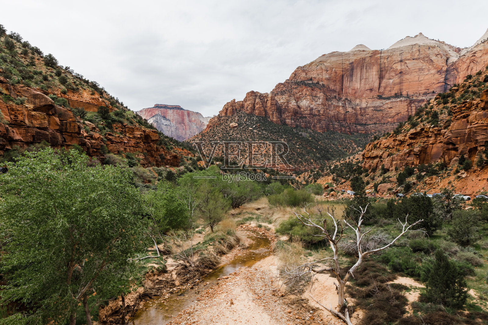 犹他州锡安国家公园松溪的一个多云的早晨照片摄影图片