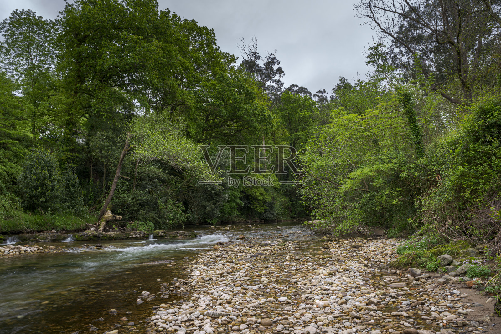 米耶拉河风光照片摄影图片