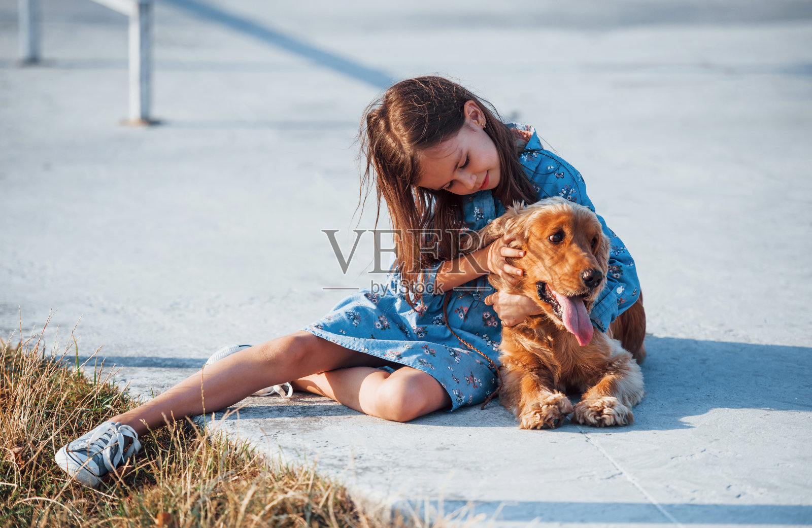 拥抱宠物。可爱的小女孩在阳光明媚的日子里和她的狗在户外散步照片摄影图片