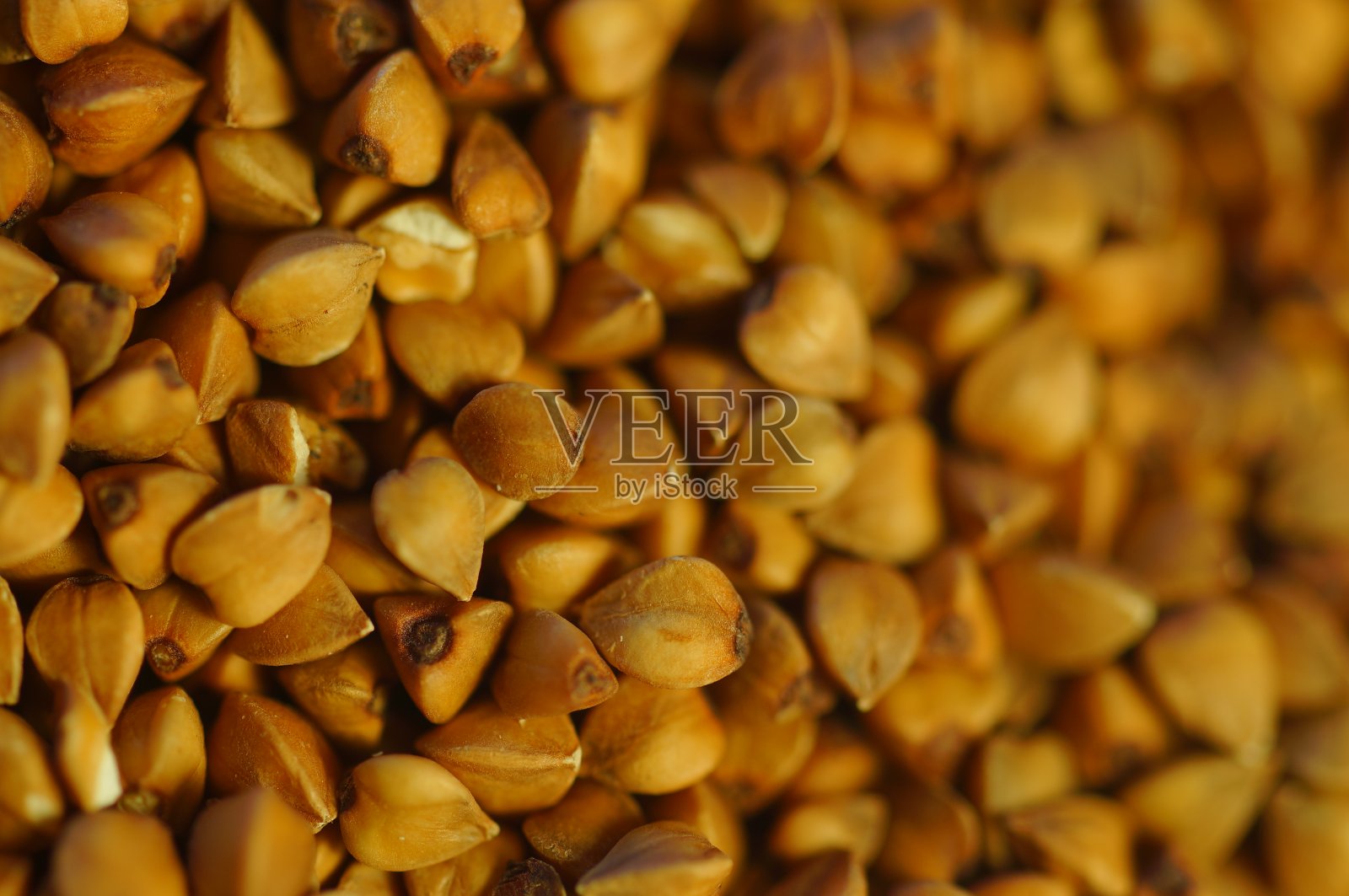 背景烹饪-荞麦groats主题。照片摄影图片