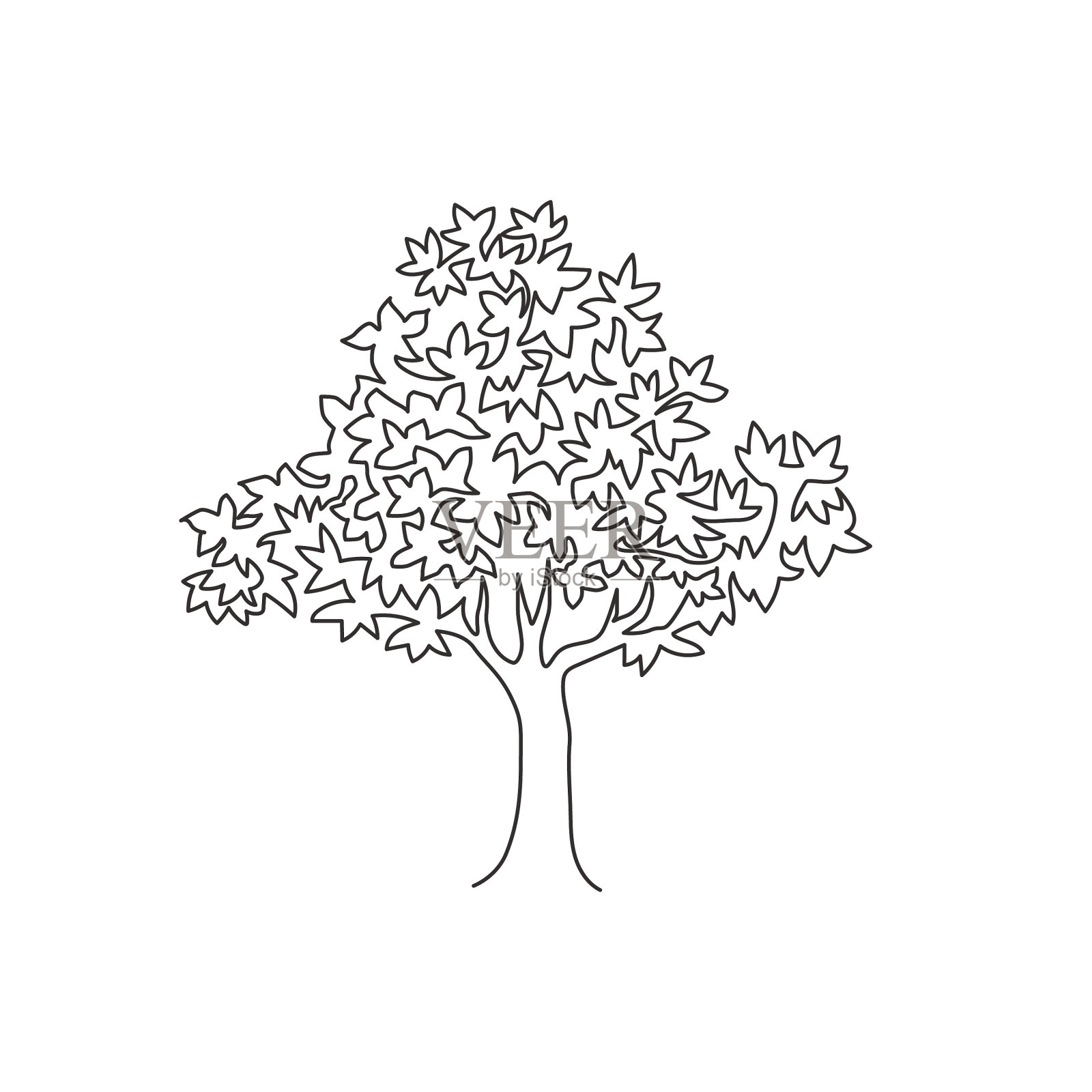 单线画大美人异国槭设计元素图片