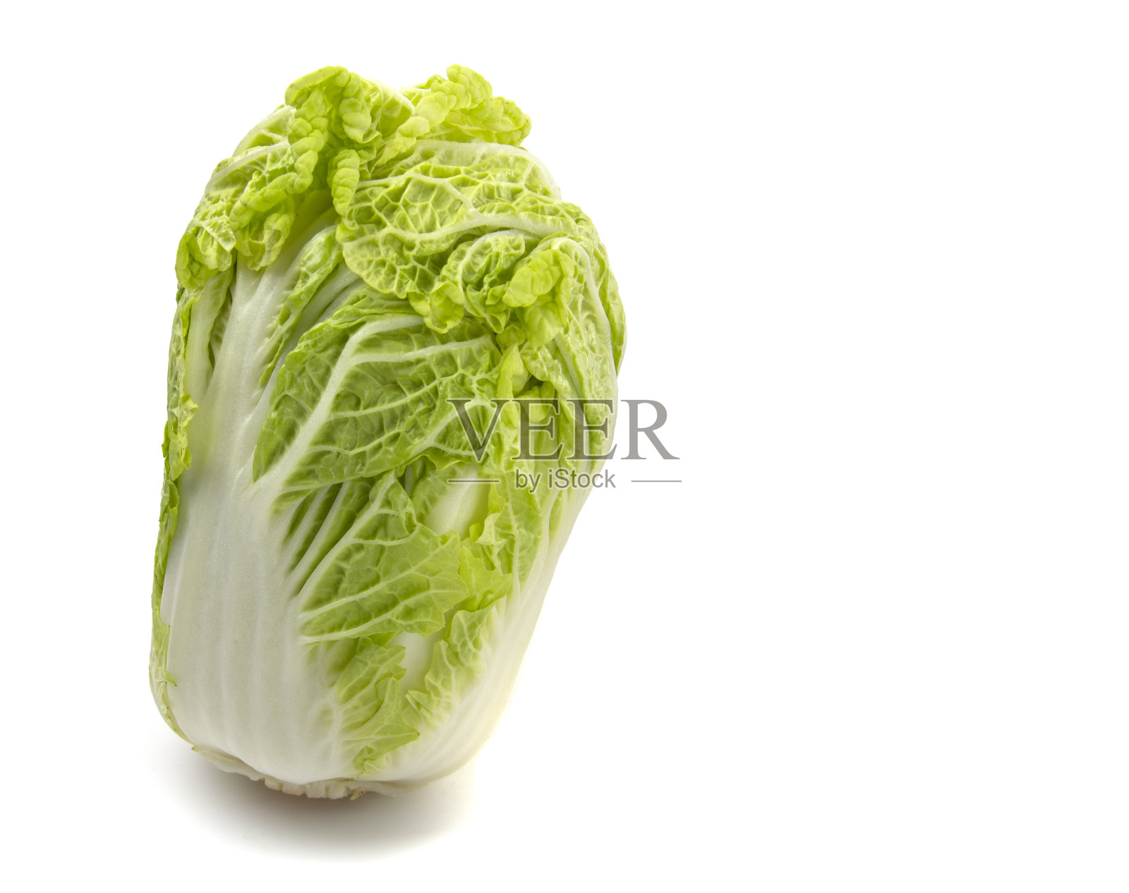 北京白菜特写,白色孤立的背景,自由的空间照片摄影图片