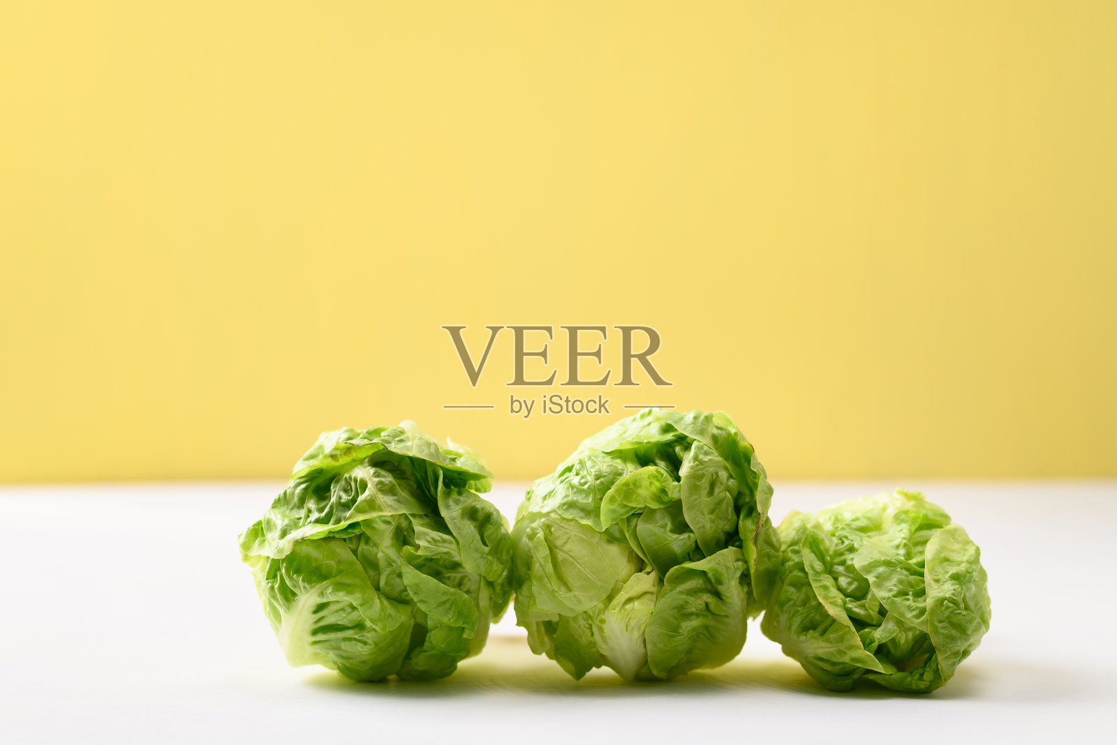 因为生菜的背景是白色和黄色照片摄影图片