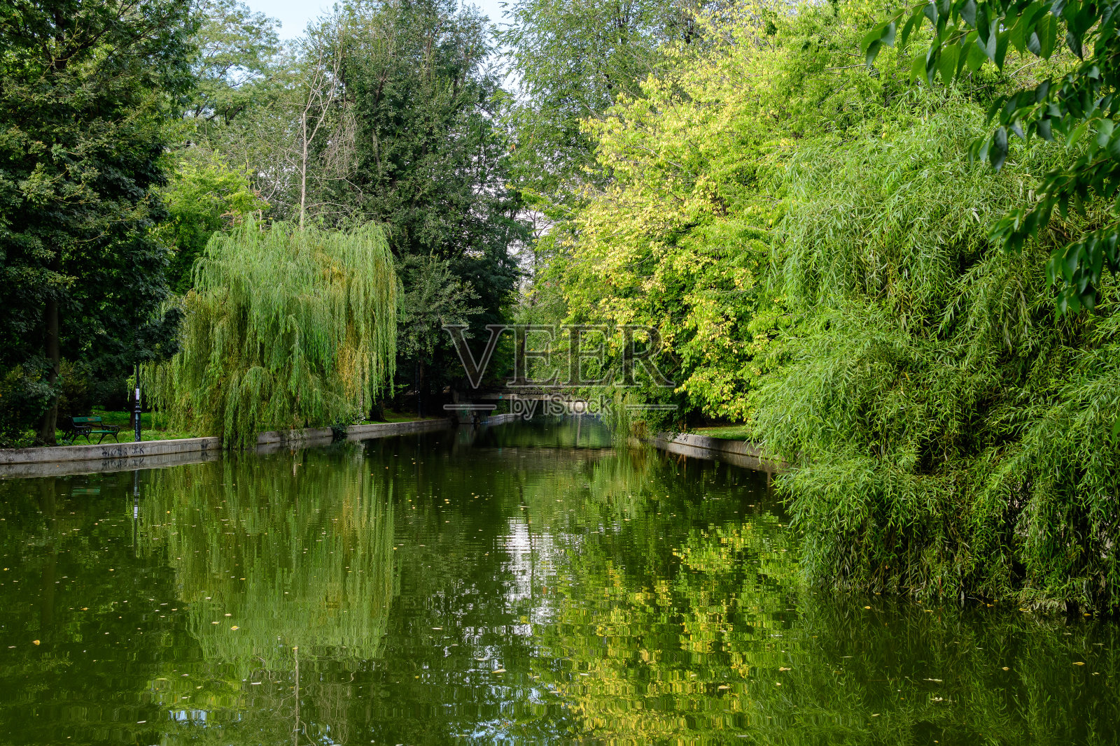 在一个阳光明媚的夏日,在罗马尼亚首都布加勒斯特的西斯米尤花园,湖上的主桥被生动的绿色植物、青柠树和草包围照片摄影图片