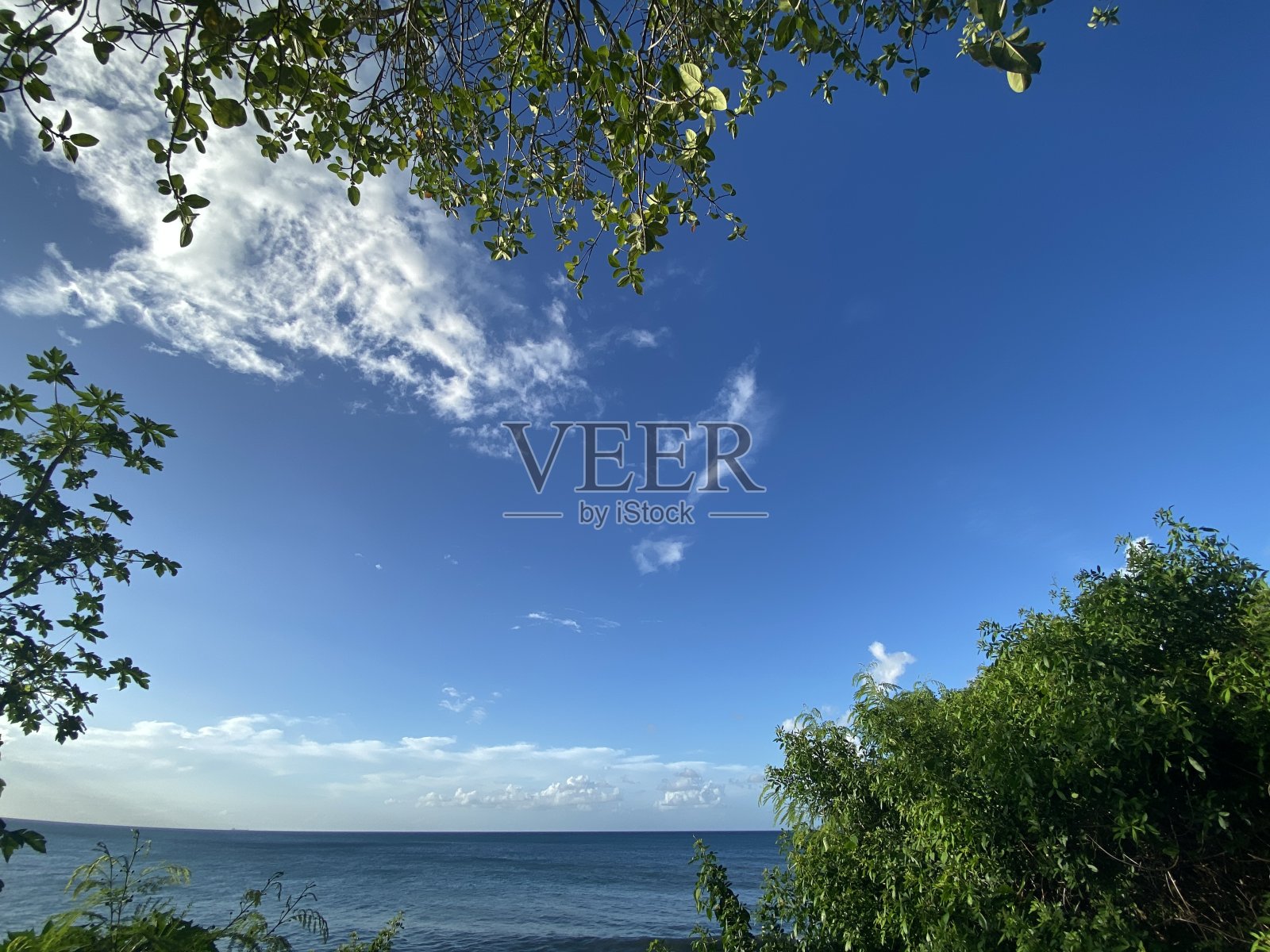 美丽的蓝天,白云,树木和很多的空间照片摄影图片