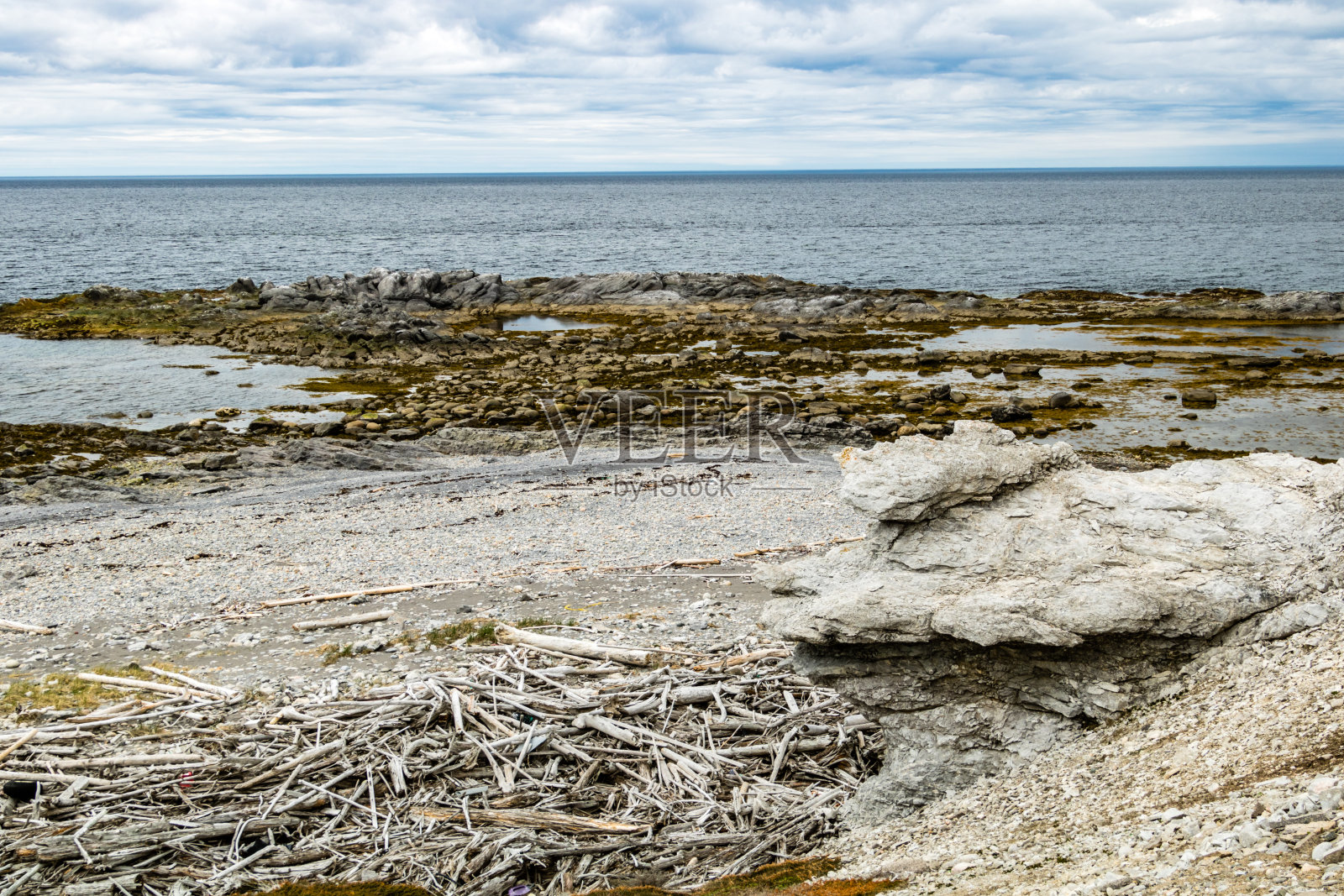 石灰岩悬崖,岩石和浮木散布在海滩和植物在贝尔包,加拿大纽芬兰,加拿大照片摄影图片