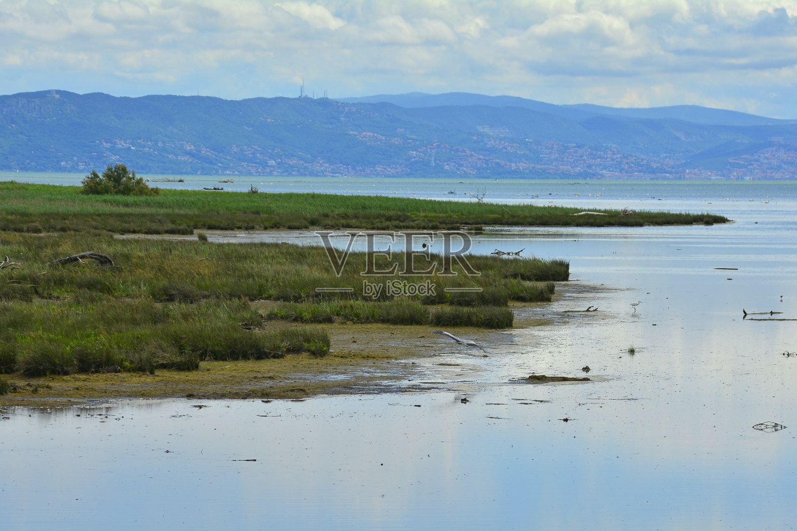 意大利蓬塔斯多巴湿地照片摄影图片