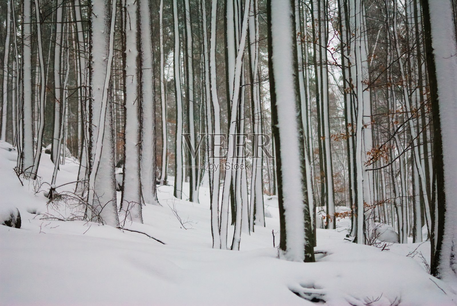 下西里西亚-波兰的大山照片摄影图片