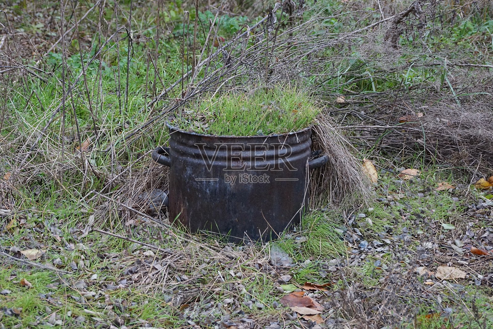 一个巨大的黑色金属搪瓷锅里的垃圾照片摄影图片