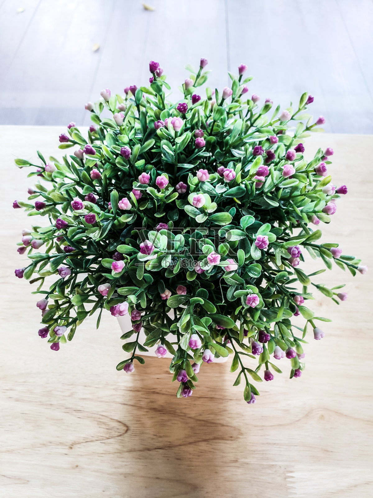 花盆或Planter,也叫flowerpot, flowerpot, Planter,用于装饰和室内照片摄影图片