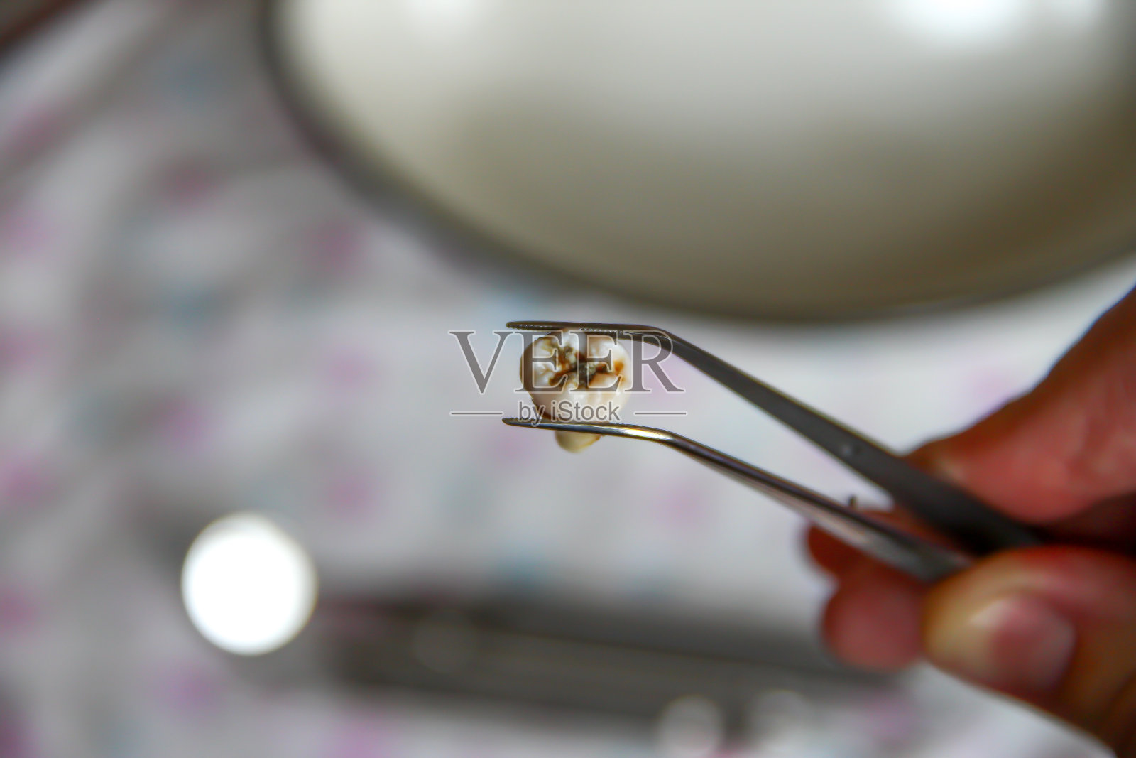 在牙科器械的背景下,用镊子拔牙照片摄影图片