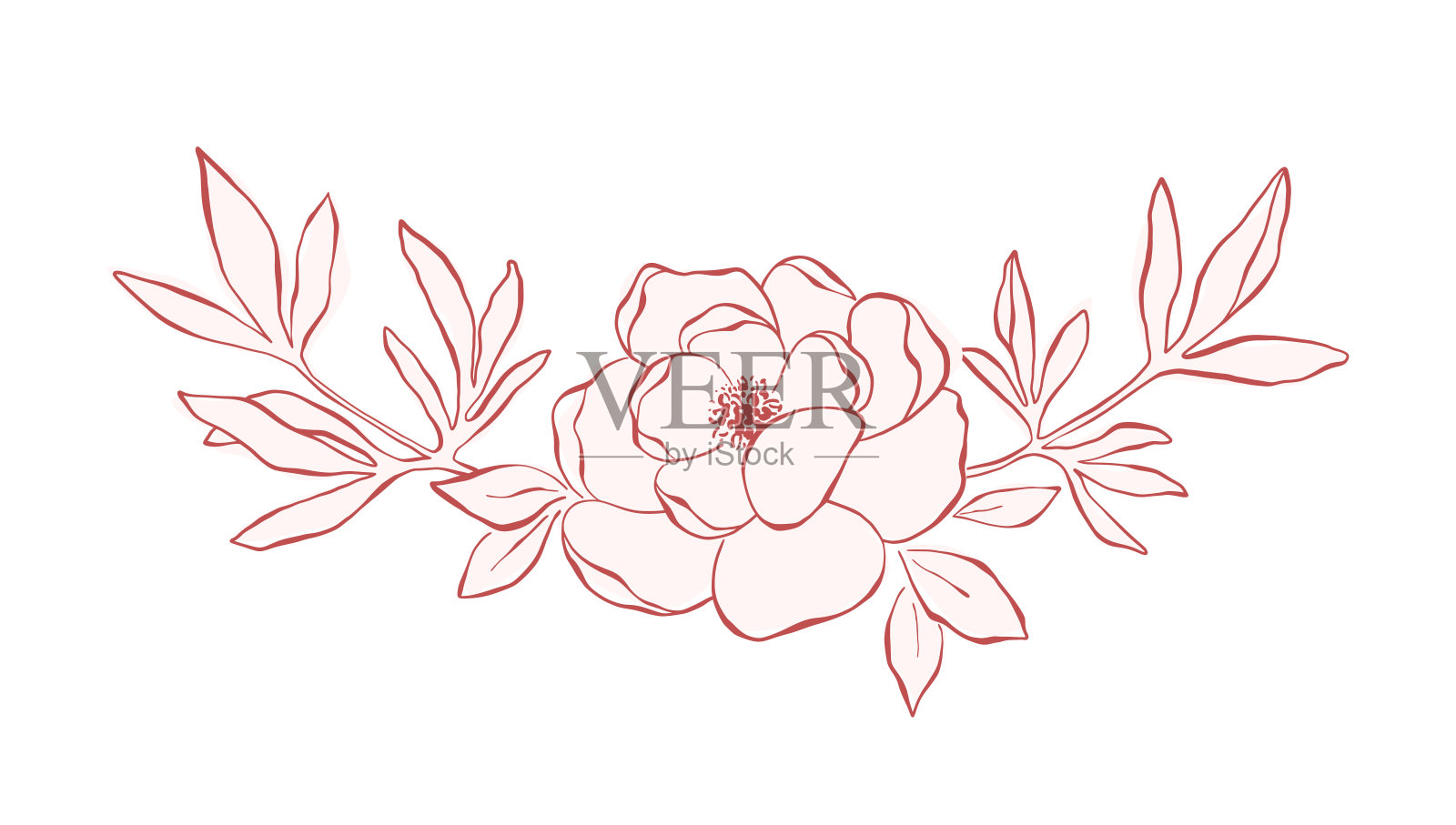 线条艺术牡丹编排插画图片素材
