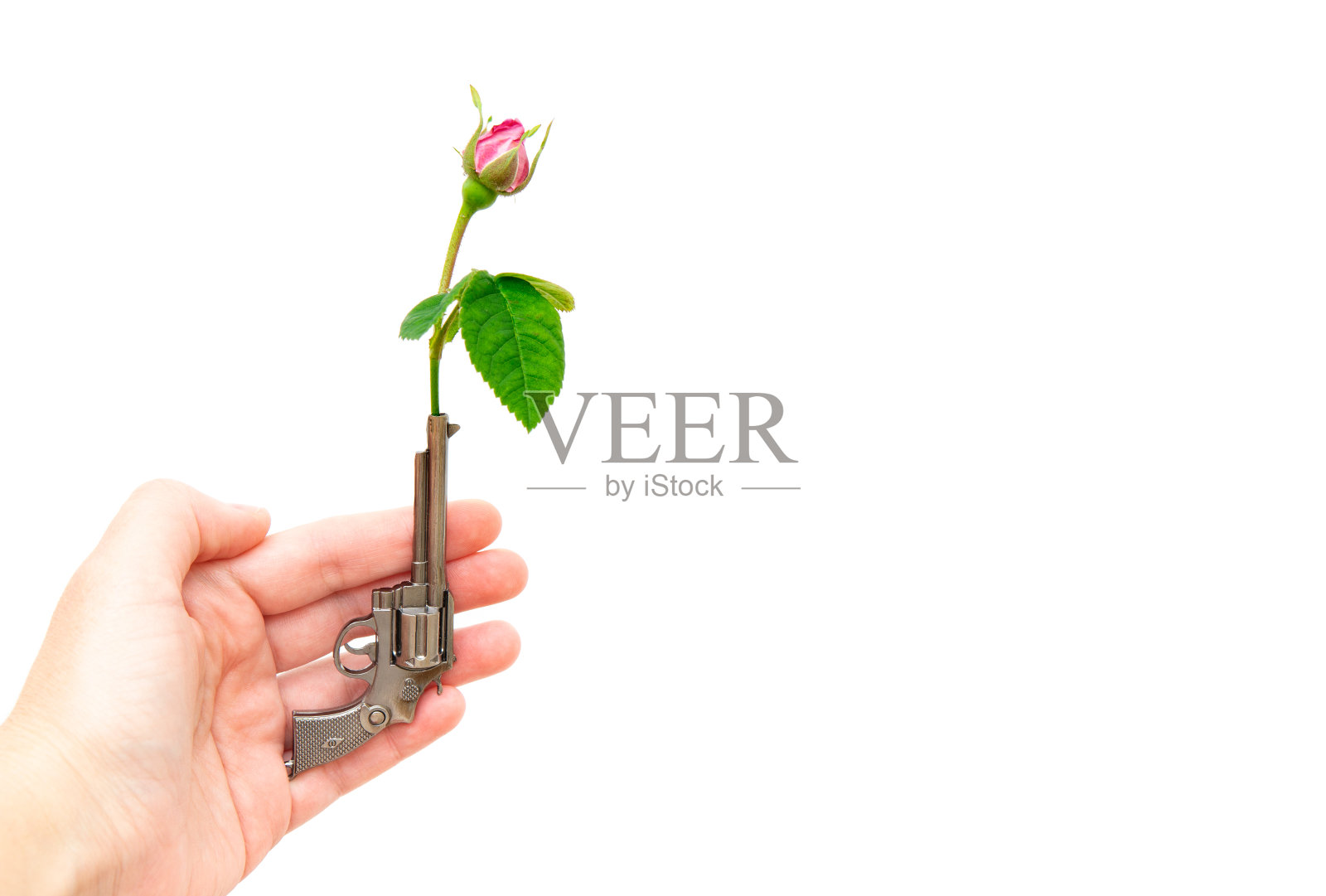 女人手里拿着一把小枪,枪管里有一朵红玫瑰照片摄影图片