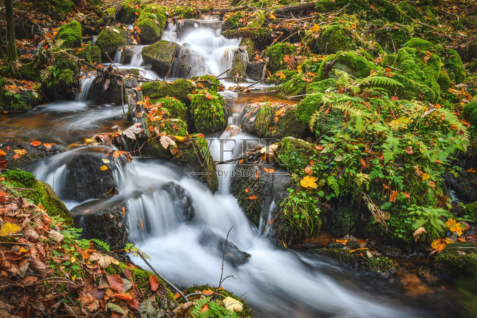 森林里湍急的山河。照片摄影图片