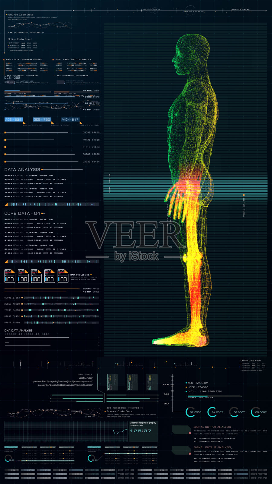 垂直显示生物医学诊断HUD照片摄影图片