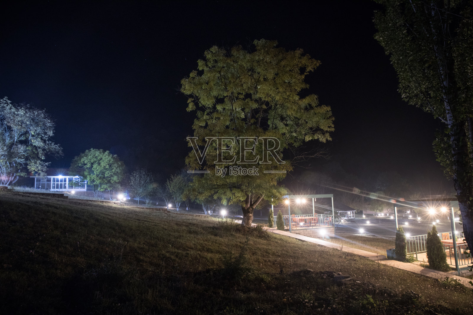 树木和路灯在一个安静的雾天夜晚。雾蒙蒙的夜晚路灯空无一人。照片摄影图片