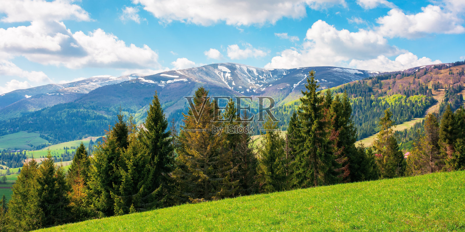 山景在春天的一个阳光明媚的日子照片摄影图片